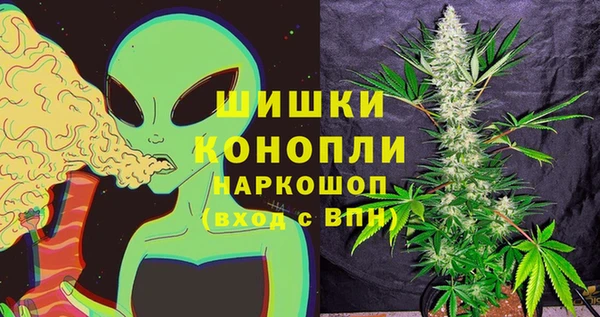 ПСИЛОЦИБИНОВЫЕ ГРИБЫ Балабаново